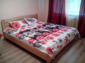 Гостиница Apartment Syrec  Киев
